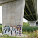 Illustration for article titled Pics from the Curbside: 2019-08-17 Near Collins Bay Pen